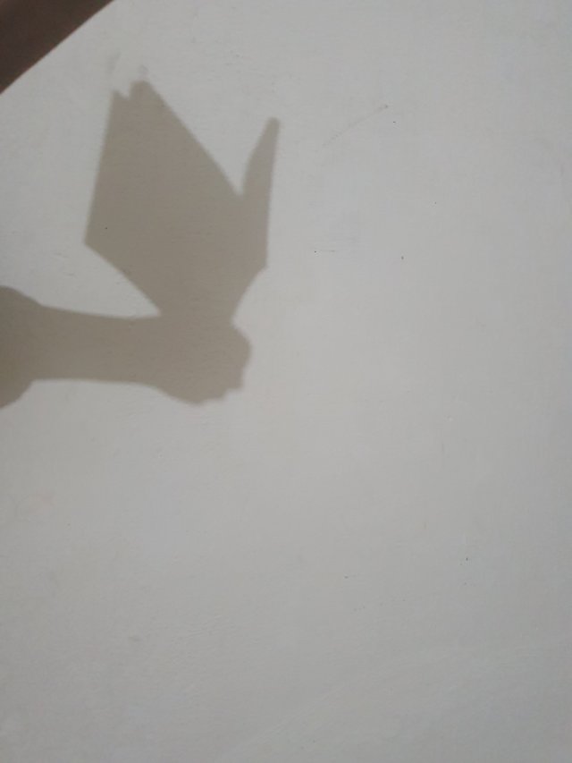 20250708_131012.jpg