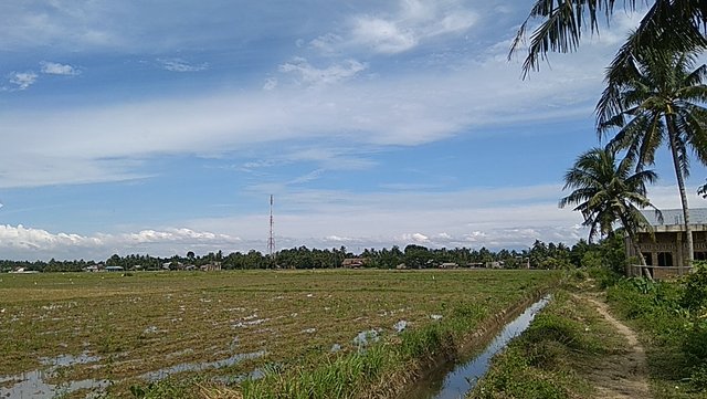 PANO_20210804_143212.jpg