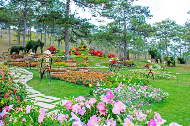 Doi-Mong-Mo-Resort (15).jpg