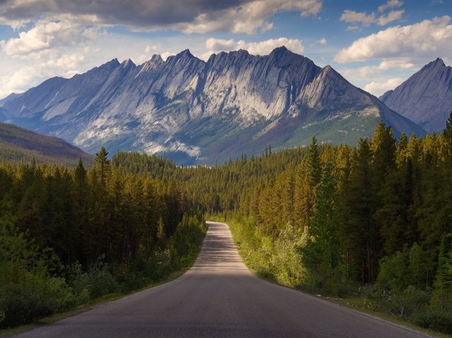 jessicaoutside.com-P7040603-road-through-jasper-1289.jpg