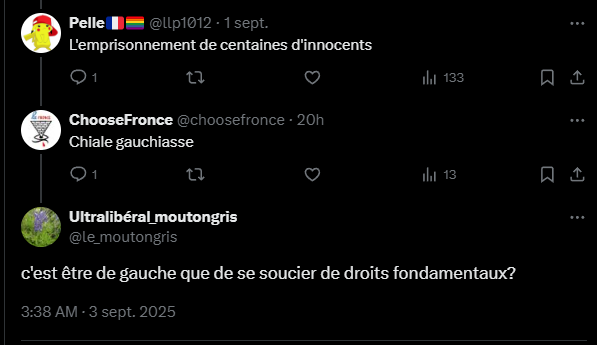 Capture d’écran 2025-09-03 033924.png