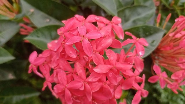 IMG20250820084303.jpg