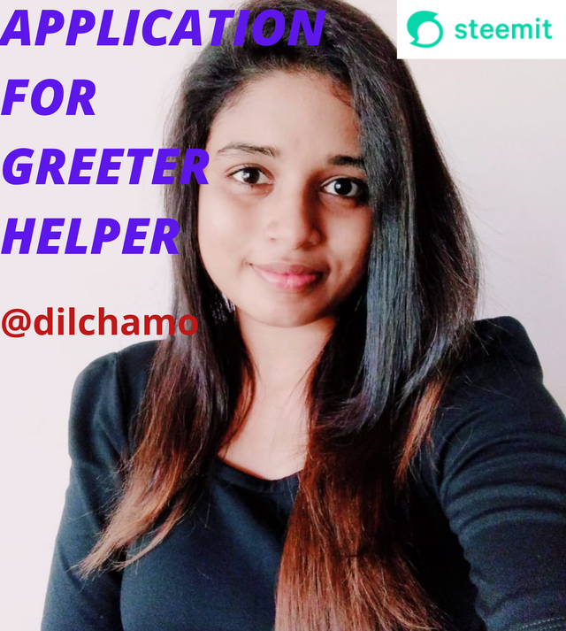 APPLICATION FOR GREETER HELPER image.png