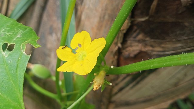 IMG20250527103106.jpg
