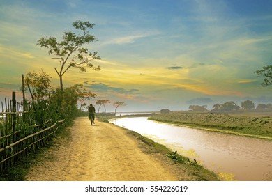 village-during-sunset-bangladesh-260nw-554226019.jpg