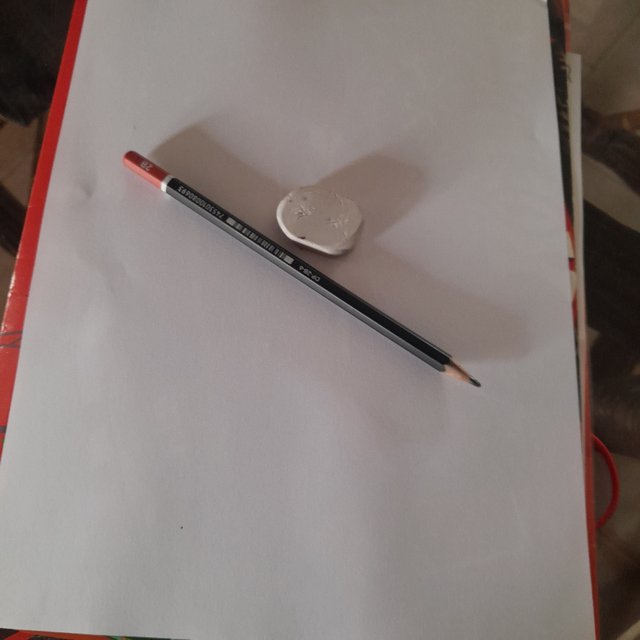 20250720_123343.jpg