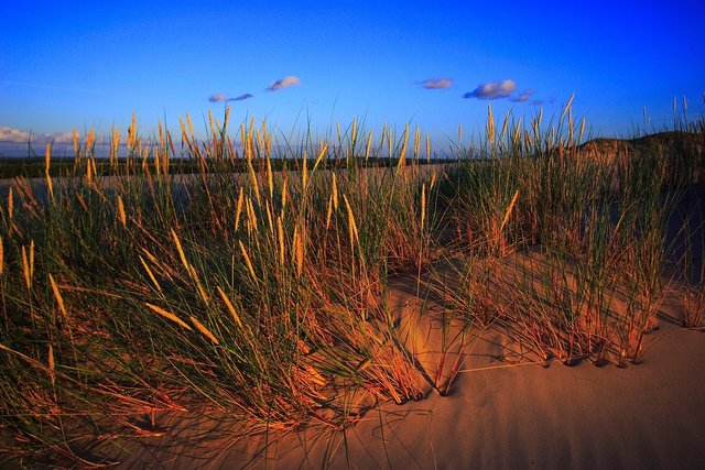 the-sand-dunes-862258_960_720.jpg