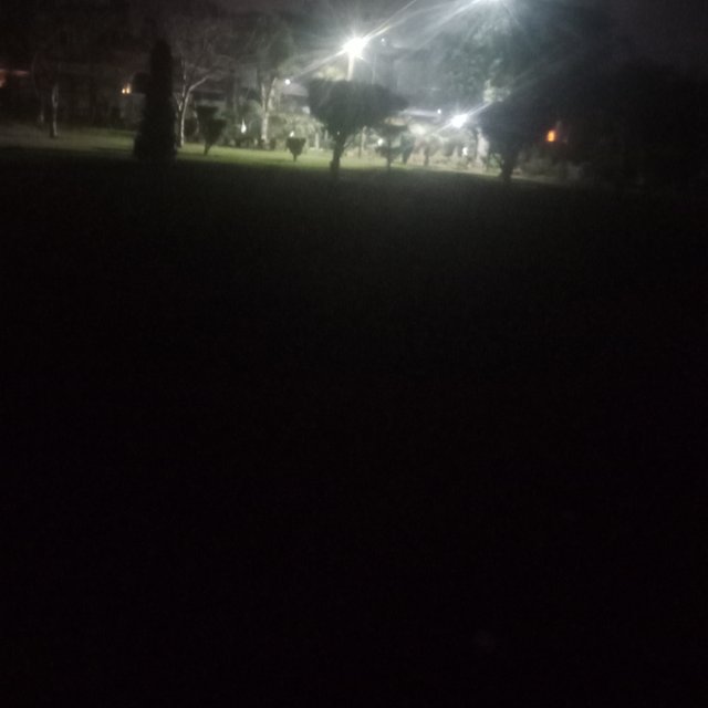 IMG_20250205_185306_951.jpg