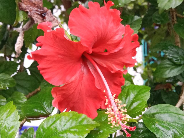 IMG_20250915_185216.jpg