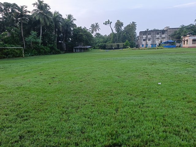 1000057480.jpg