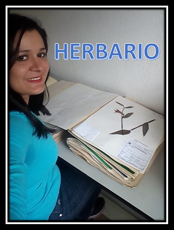 Herbario1.png