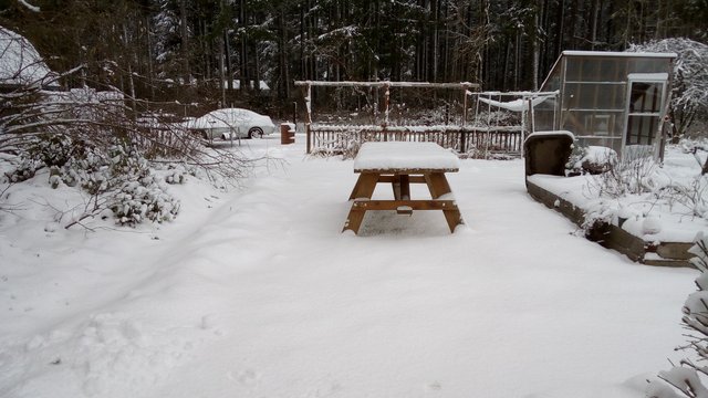 Picnic Table IMG_20190209_110059.jpg