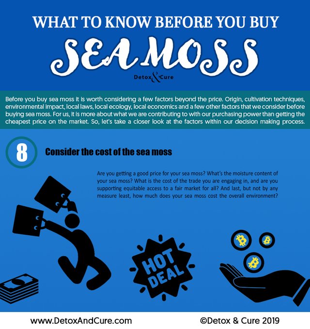 What to know before you buy Sea Moss 8.jpg