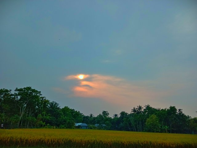 IMG_20250509_200801.jpg