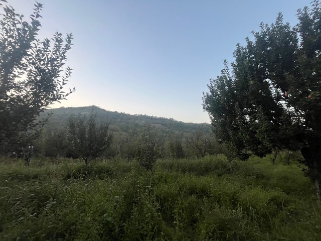 IMG_4970.jpeg