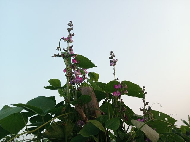 IMG_20241216_165919_877.jpg