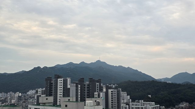1000132047.jpg