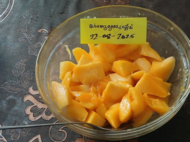 20250822_123313.jpg