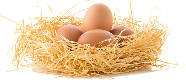 drive-the-eggs-3070850_640.webp