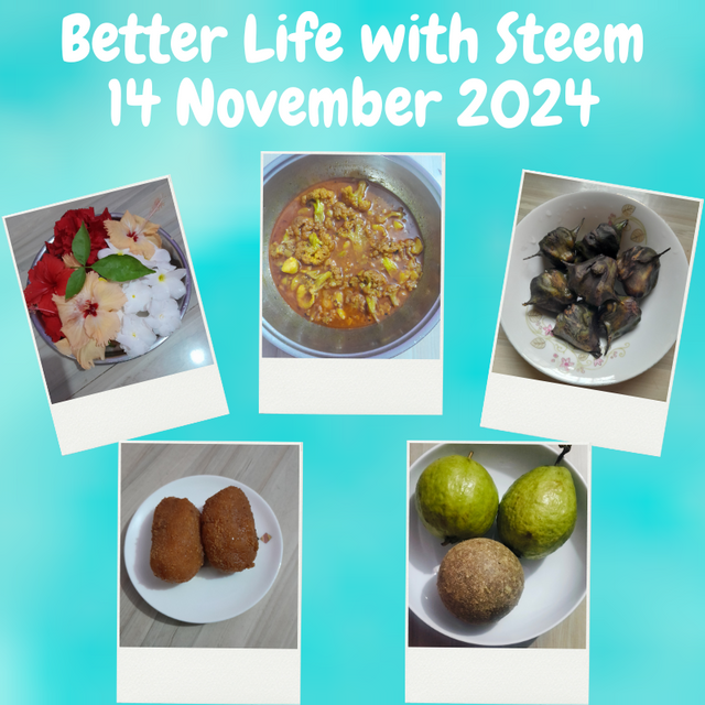 Better Life with Steem The Diary Game10 November 2024 (4).png