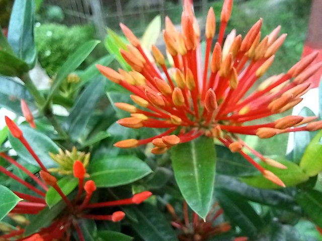 20250619_120745.jpg