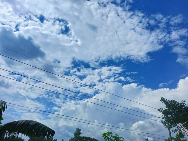 IMG_20250619_122601.jpg