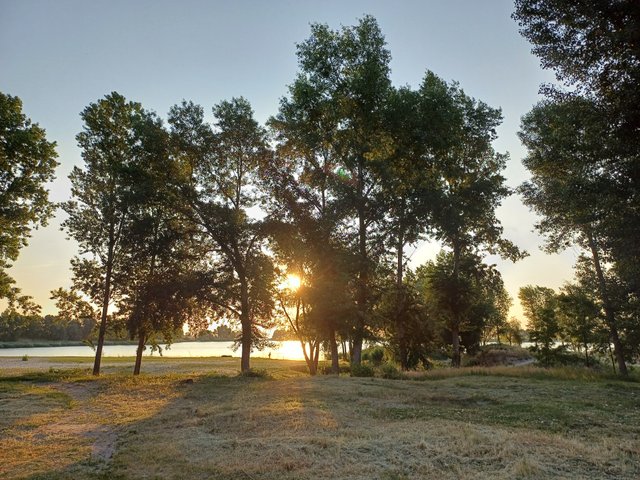 20250609_053753.jpg