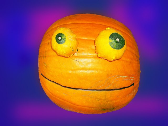 Mr Rupert Pumpkin Head.jpg