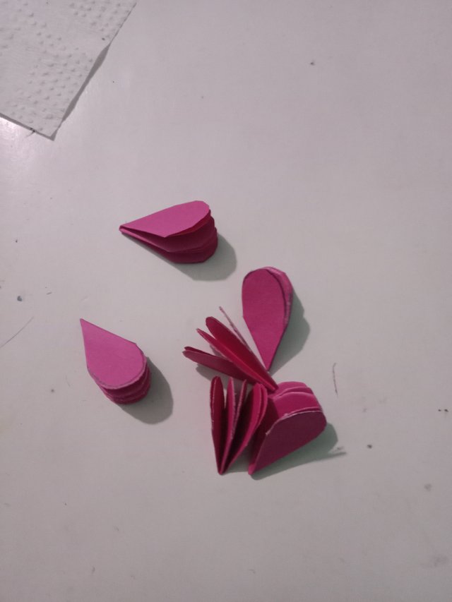 1000045046.jpg