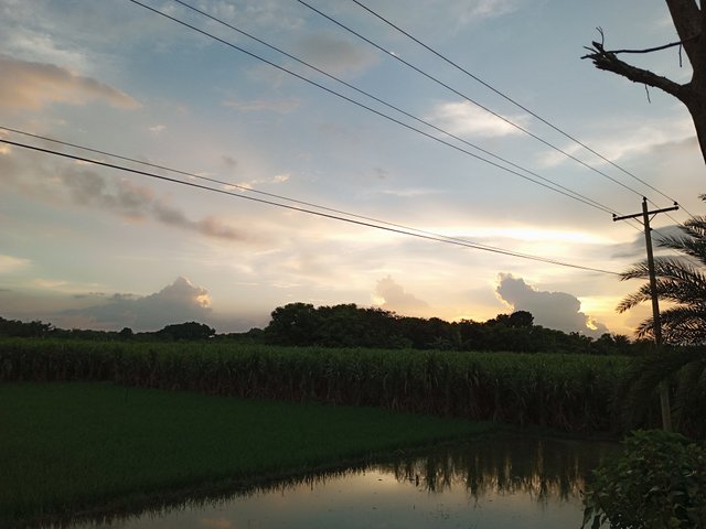 IMG_20250816_182536_267.jpg