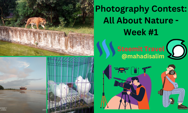 Photography Contest  All About Nature - Week #1.png