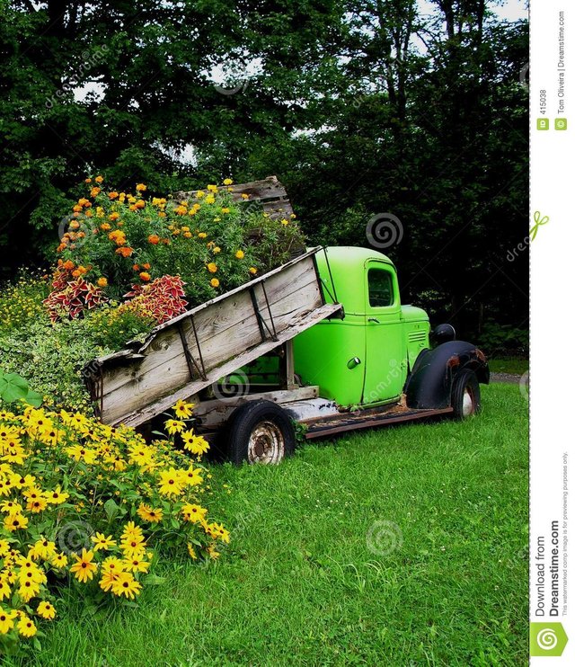 chargement-de-camion-des-fleurs-415038.jpg