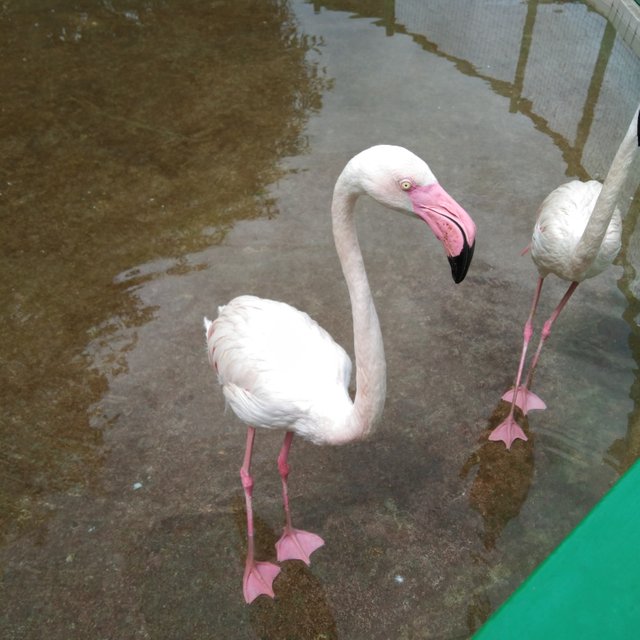 IMG_20200701_125457.jpg