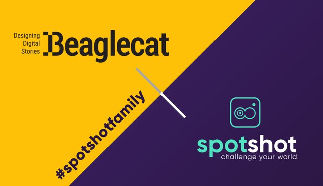 Spotshot- Partnership Beaglecat.jpg