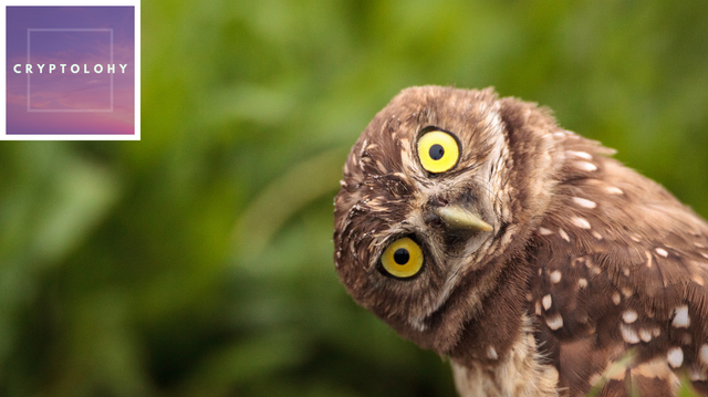 112 Cryptolohy Thumbnail (2).png