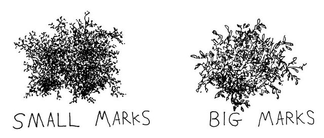 marks-size-for-drawing-leaves.jpg