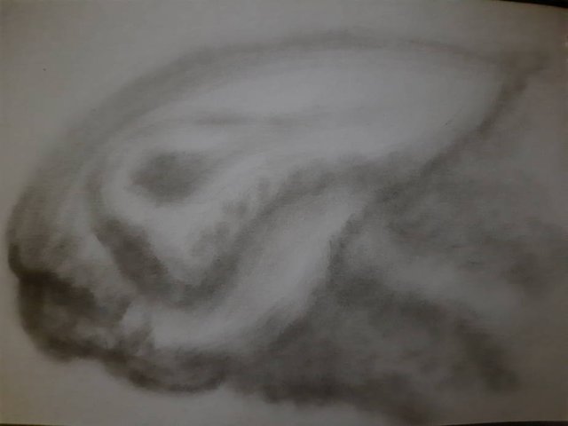 20250714_105627.jpg