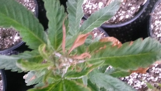 20190515_164713.jpg