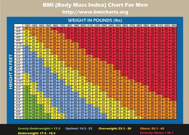 Bmi Chart Men