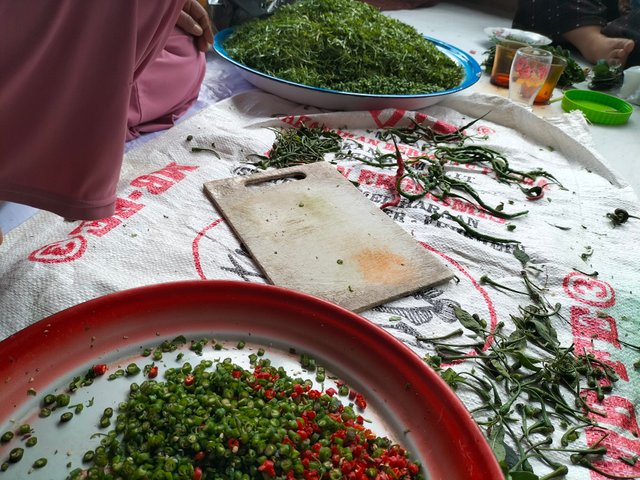 IMG20250413171340.jpg