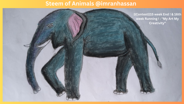 _Steem of Animals @imranhassan.png