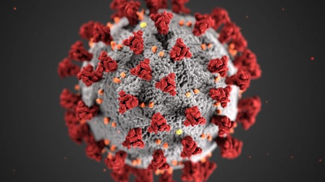 illustration-coronavirus-1024x575.jpg