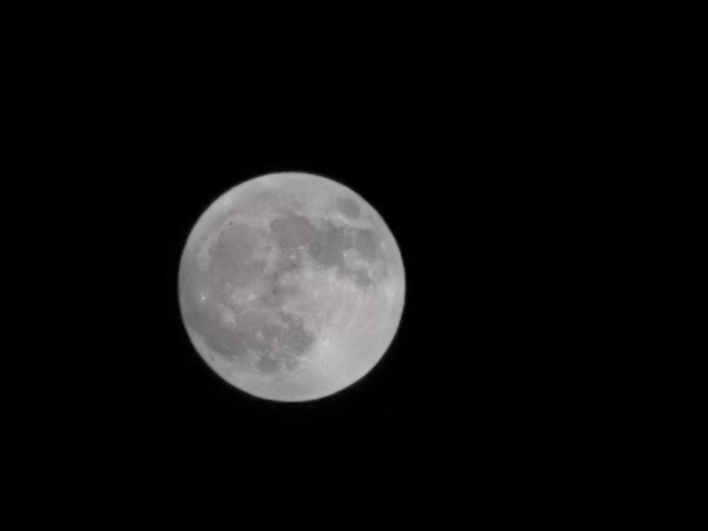 IMG_20240917_191821.jpg