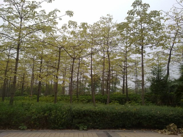 照片 057.jpg