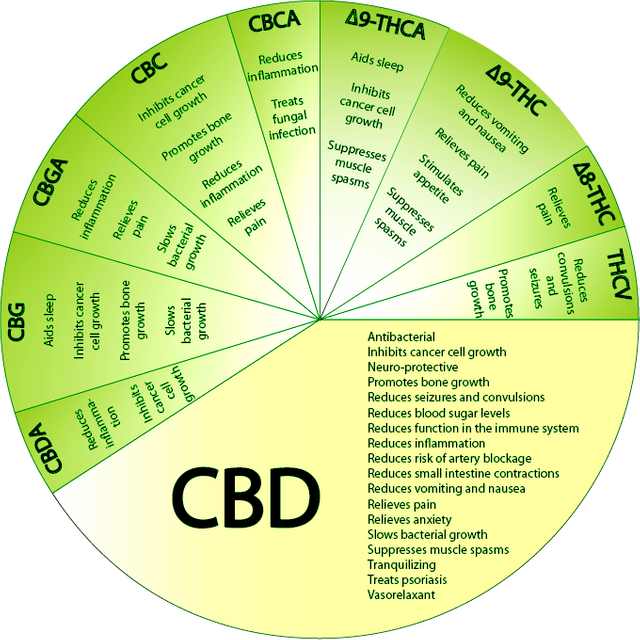 Health_Benefits_of_CBD_1_1024x1024.png