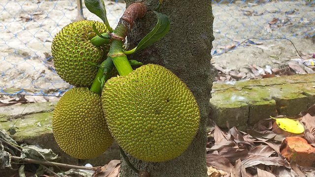 20250425_105719.jpg