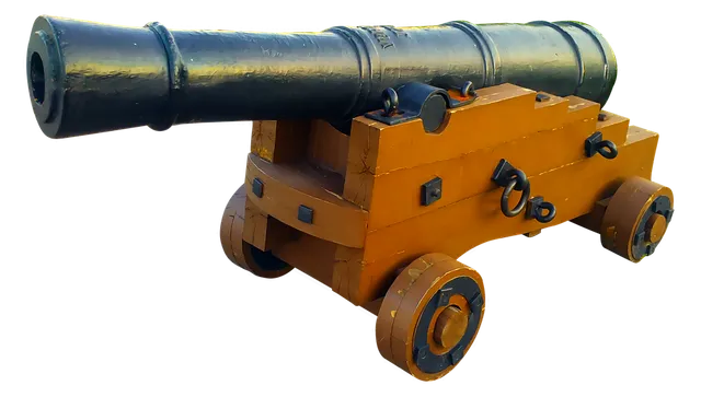 cannon-2592359_960_720.webp