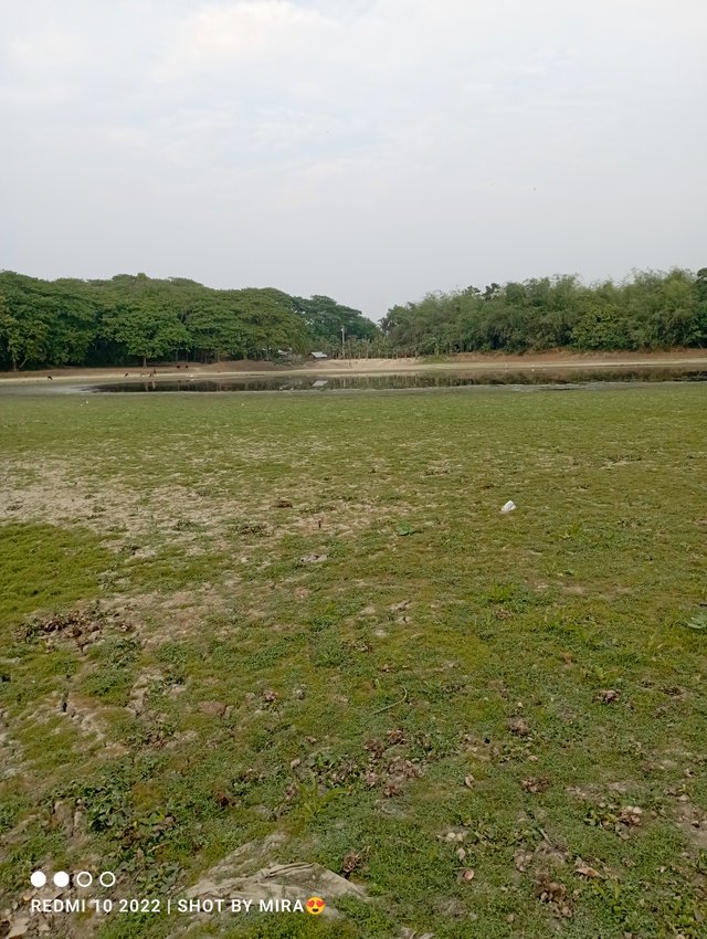 IMG_20250404_195405.jpg