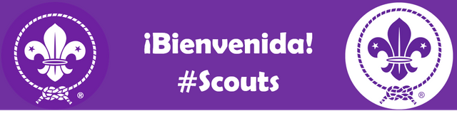 Scouts Bienvenida.png