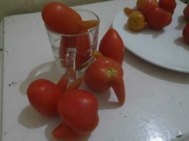 20250412_170822.jpg